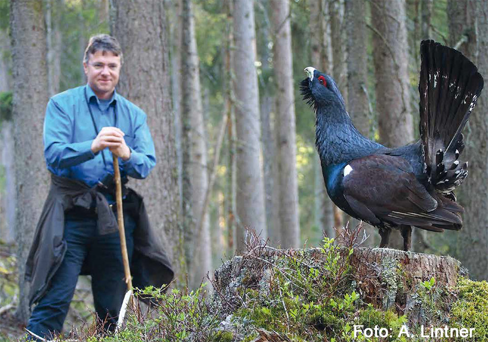 Martin Lintner mit Auerhahn im Wald